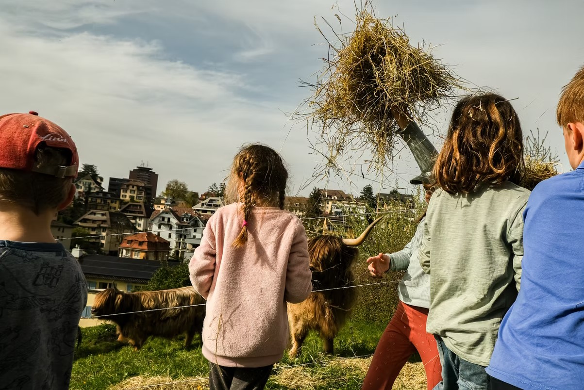 IN DIE STIEFEL - FERTIG - LOS!